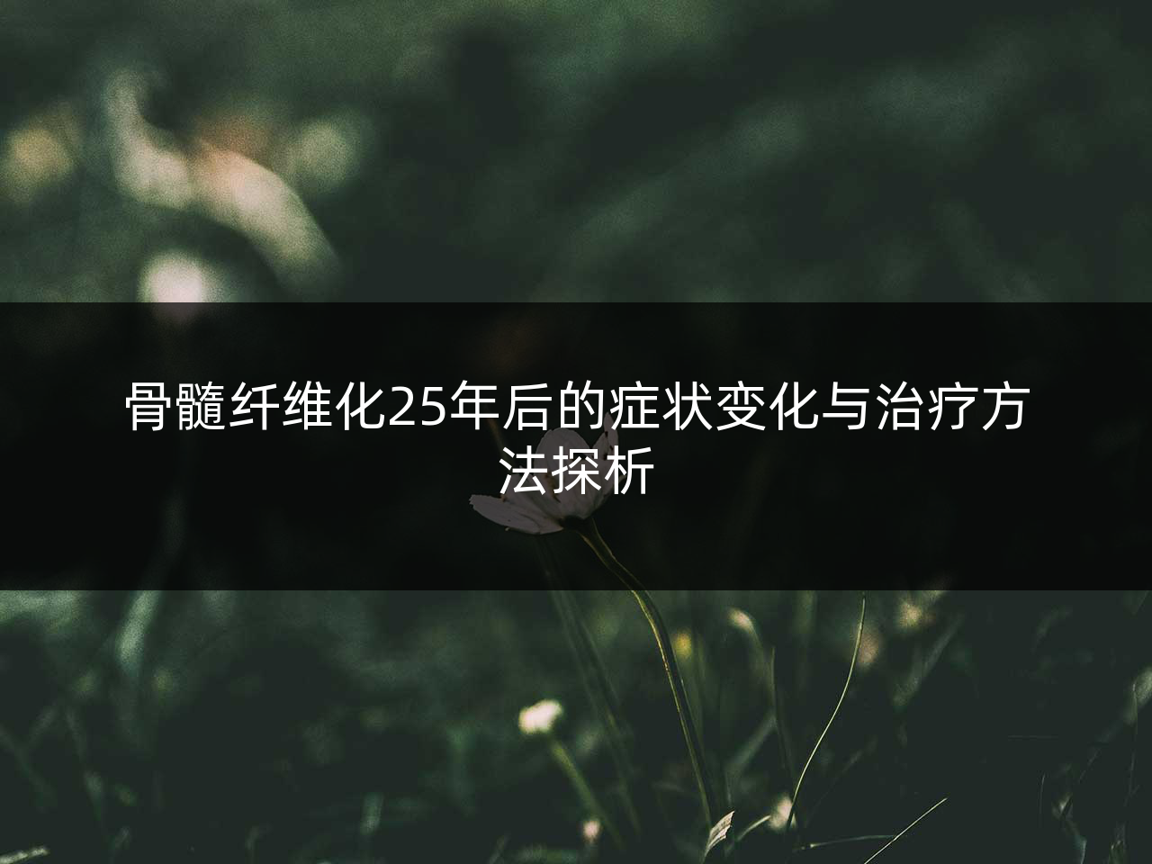 骨髓纤维化25年后的症状变化与治疗方法探析