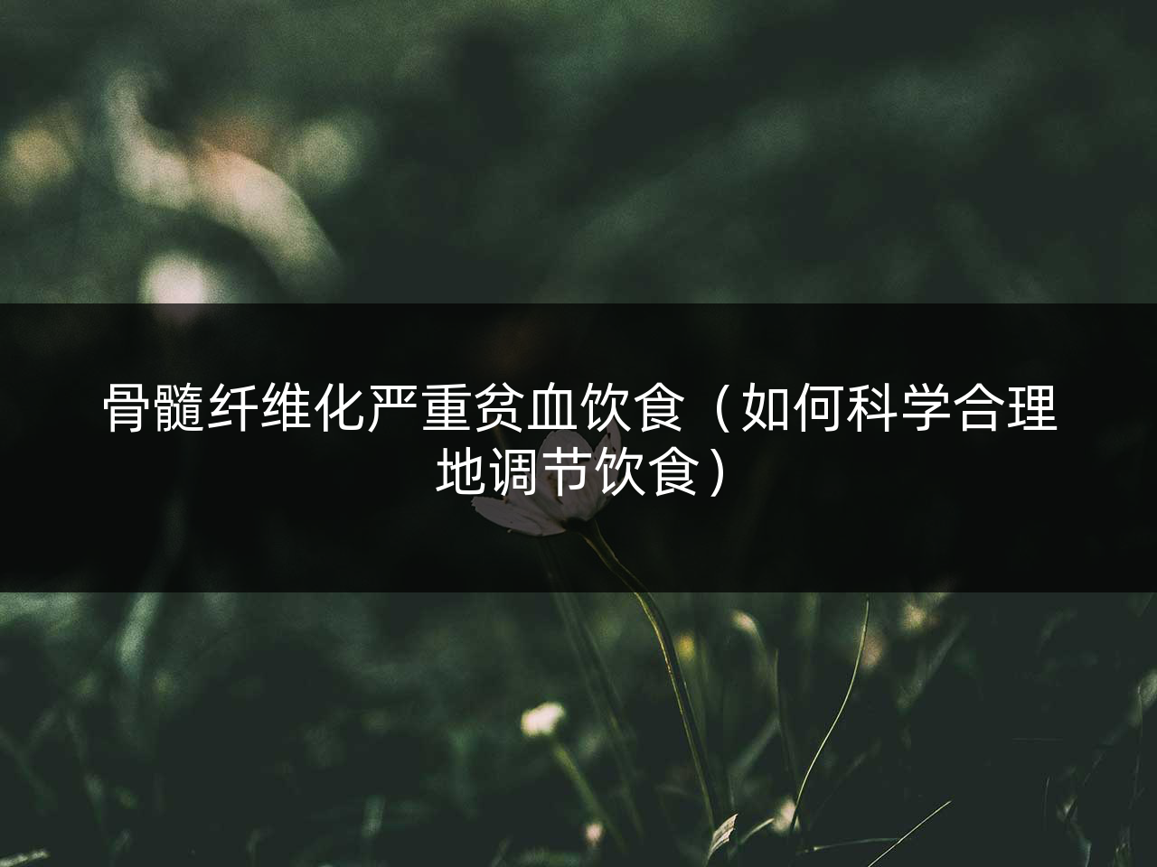 骨髓纤维化严重贫血饮食(如何科学合理地调节饮食)