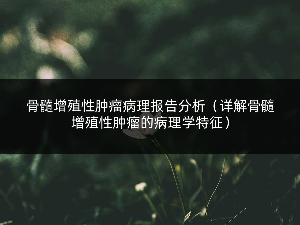 骨髓增殖性肿瘤病理报告分析(详解骨髓增殖性肿瘤的病理学特征)