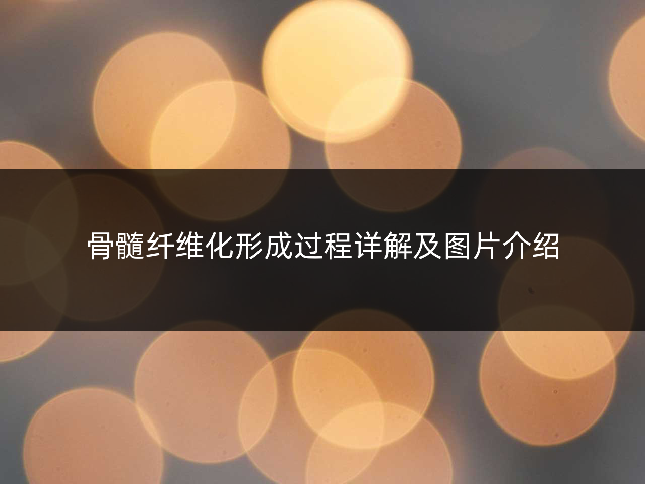 骨髓纤维化形成过程详解及图片介绍