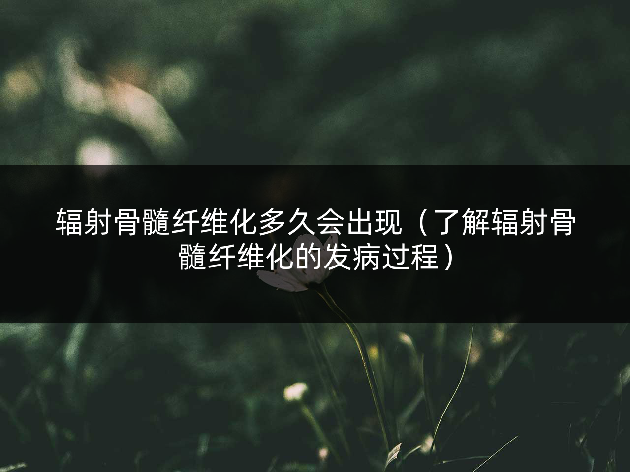 辐射骨髓纤维化多久会出现(了解辐射骨髓纤维化的发病过程)