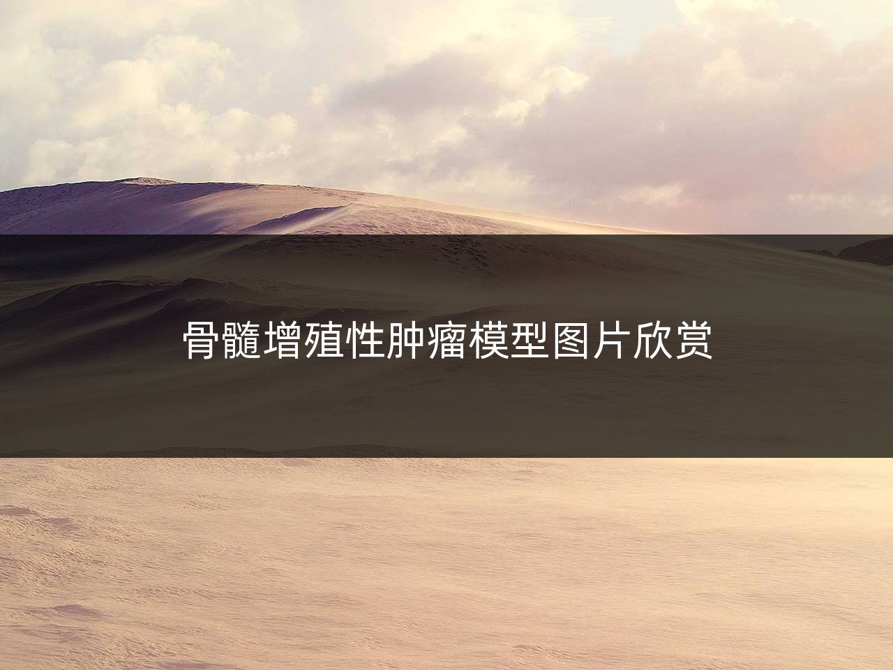 骨髓增殖性肿瘤模型图片欣赏