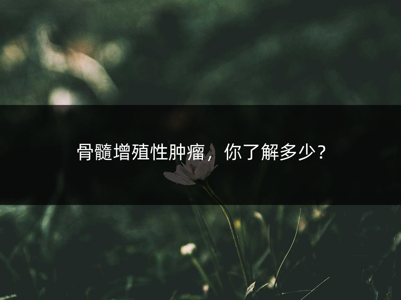 骨髓增殖性肿瘤,你了解多少?