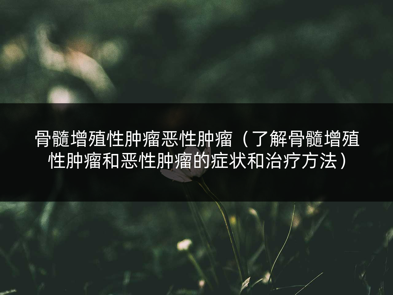 骨髓增殖性肿瘤恶性肿瘤(了解骨髓增殖性肿瘤和恶性肿瘤的症状和治疗方法)