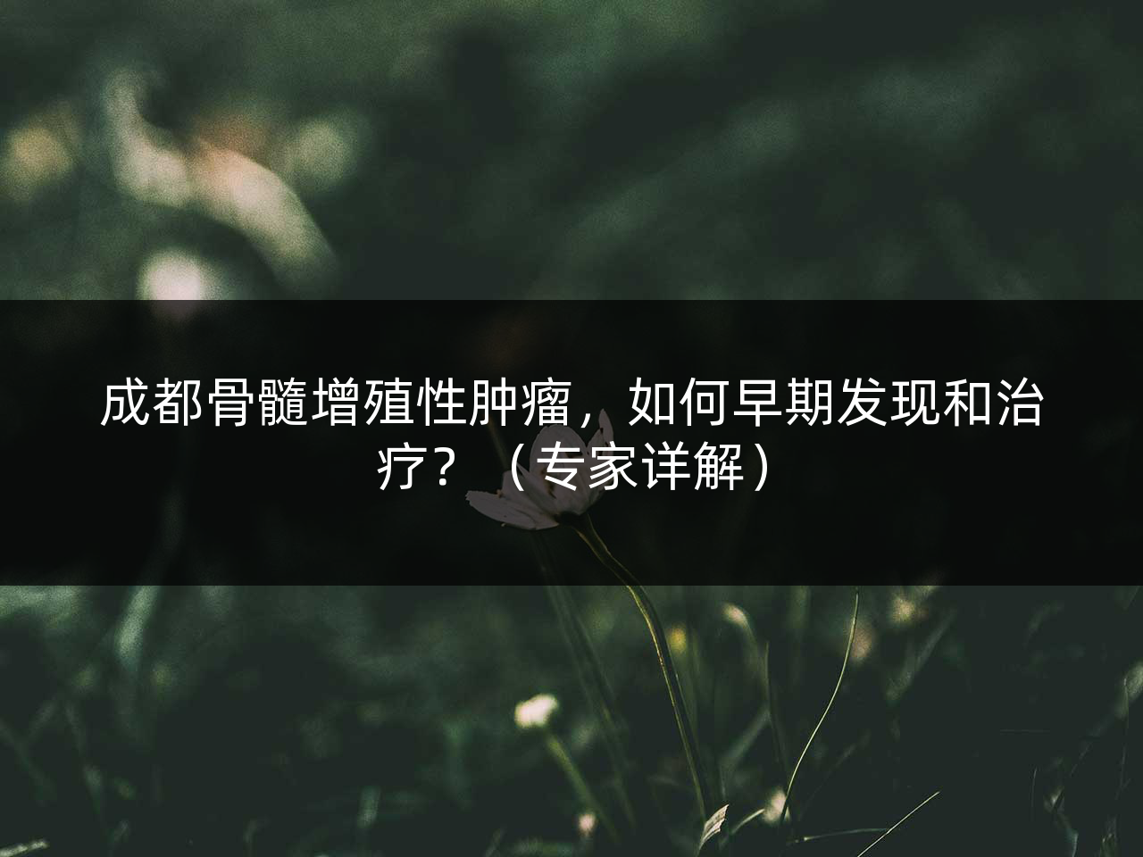 成都骨髓增殖性肿瘤,如何早期发现和治疗?(专家详解)
