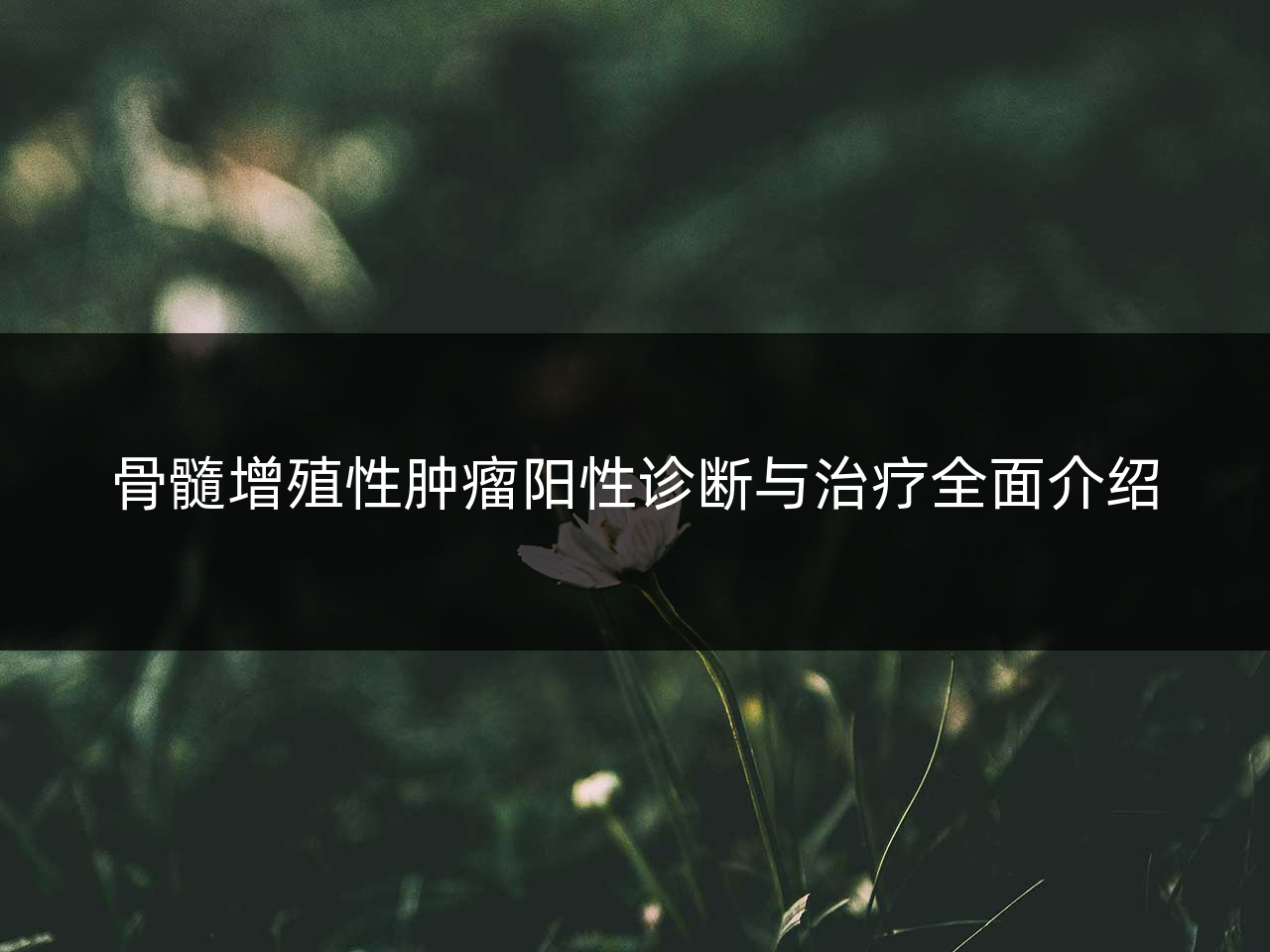 骨髓增殖性肿瘤阳性诊断与治疗全面介绍