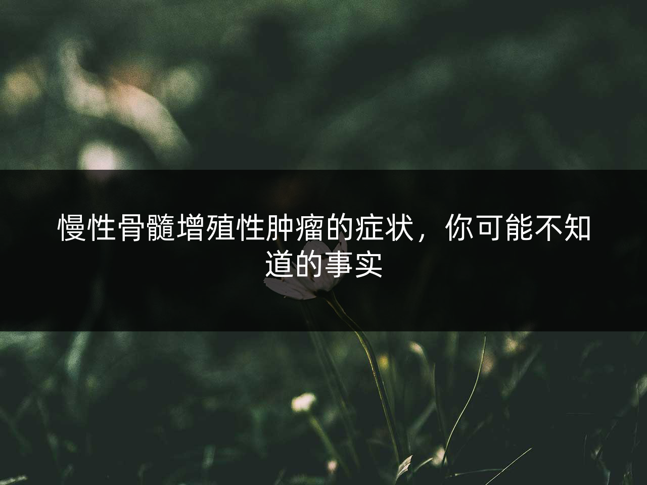 慢性骨髓增殖性肿瘤的症状,你可能不知道的事实