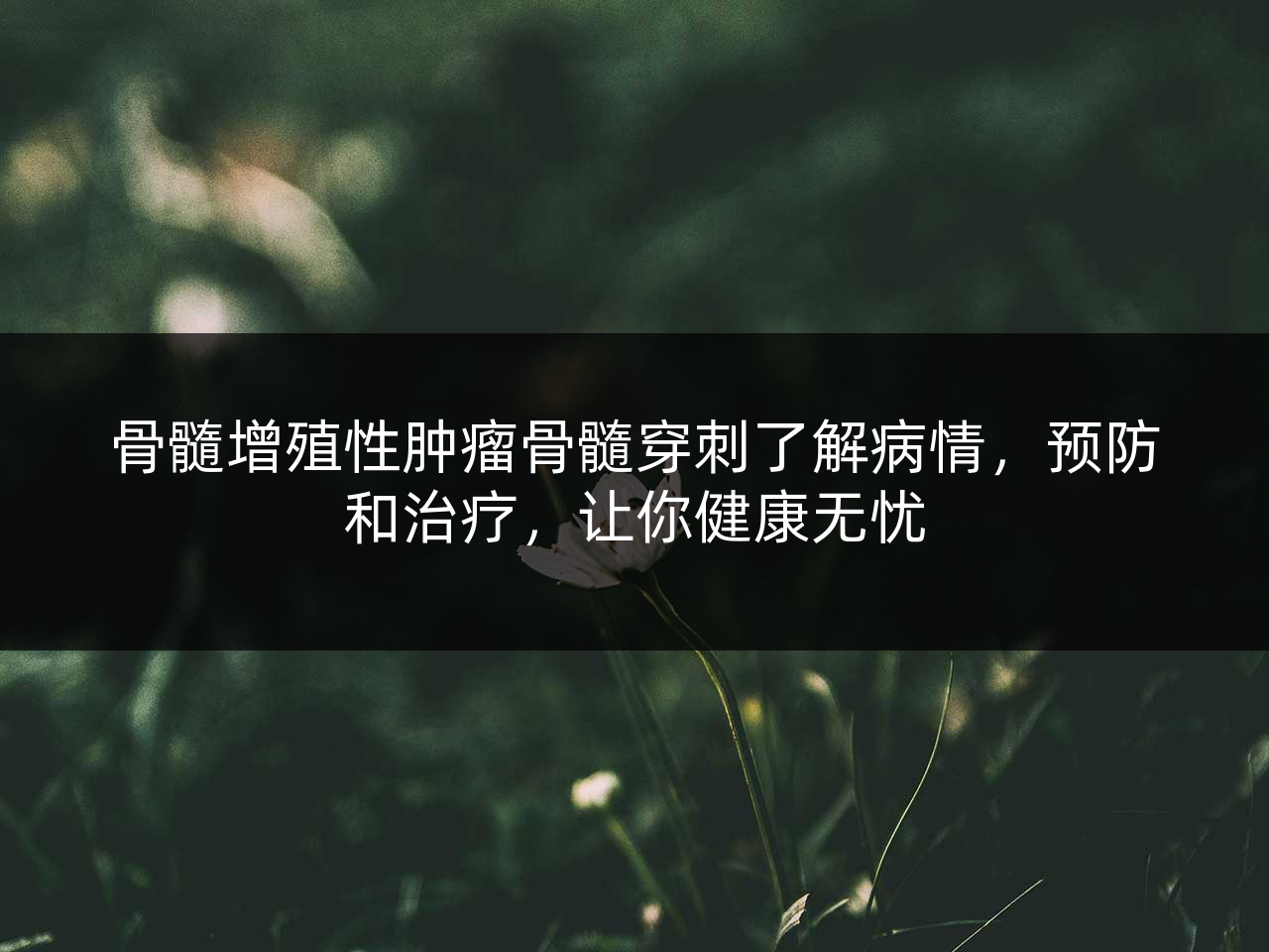 骨髓增殖性肿瘤骨髓穿刺了解病情,预防和治疗,让你健康无忧