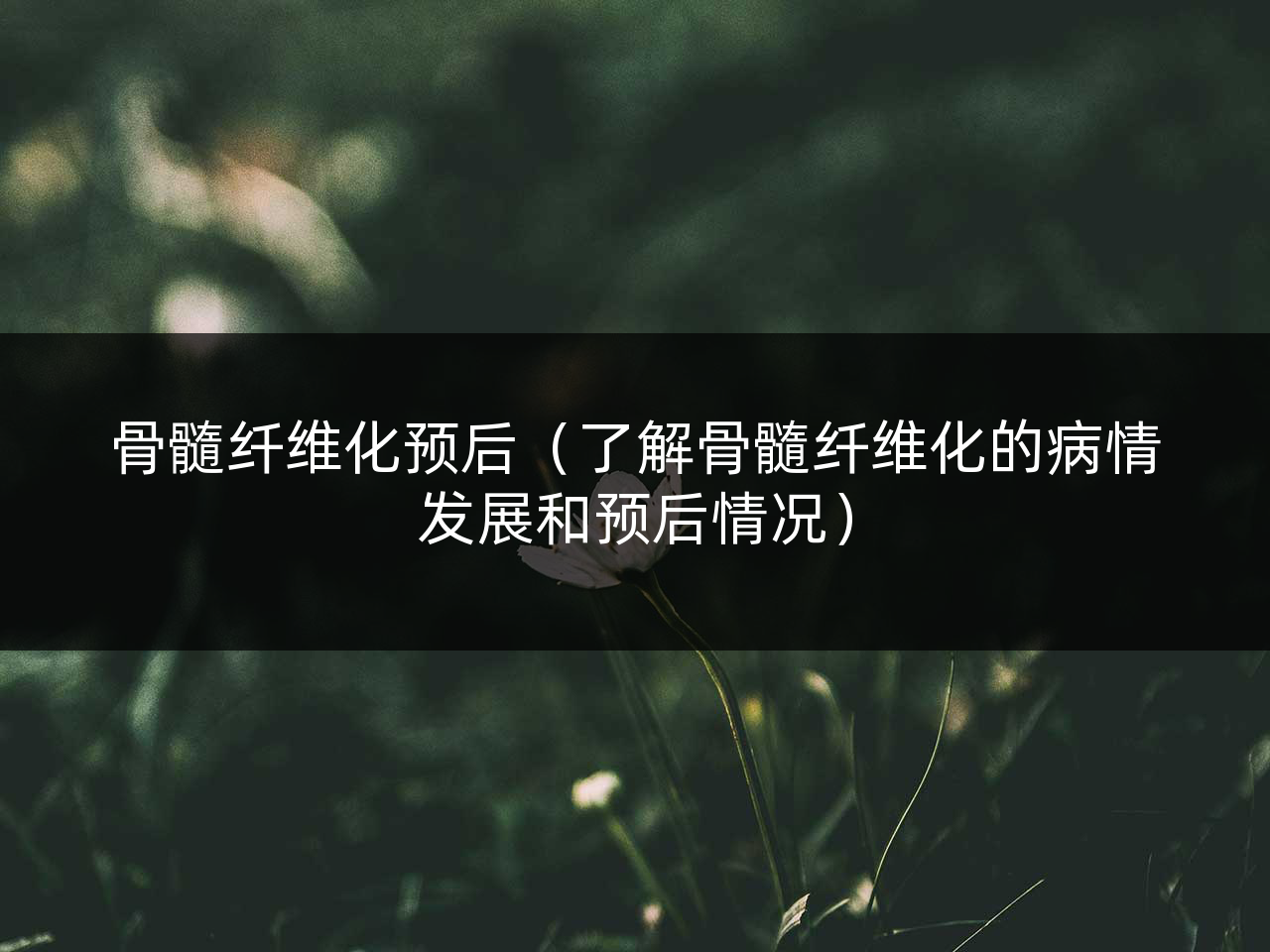 骨髓纤维化预后(了解骨髓纤维化的病情发展和预后情况)