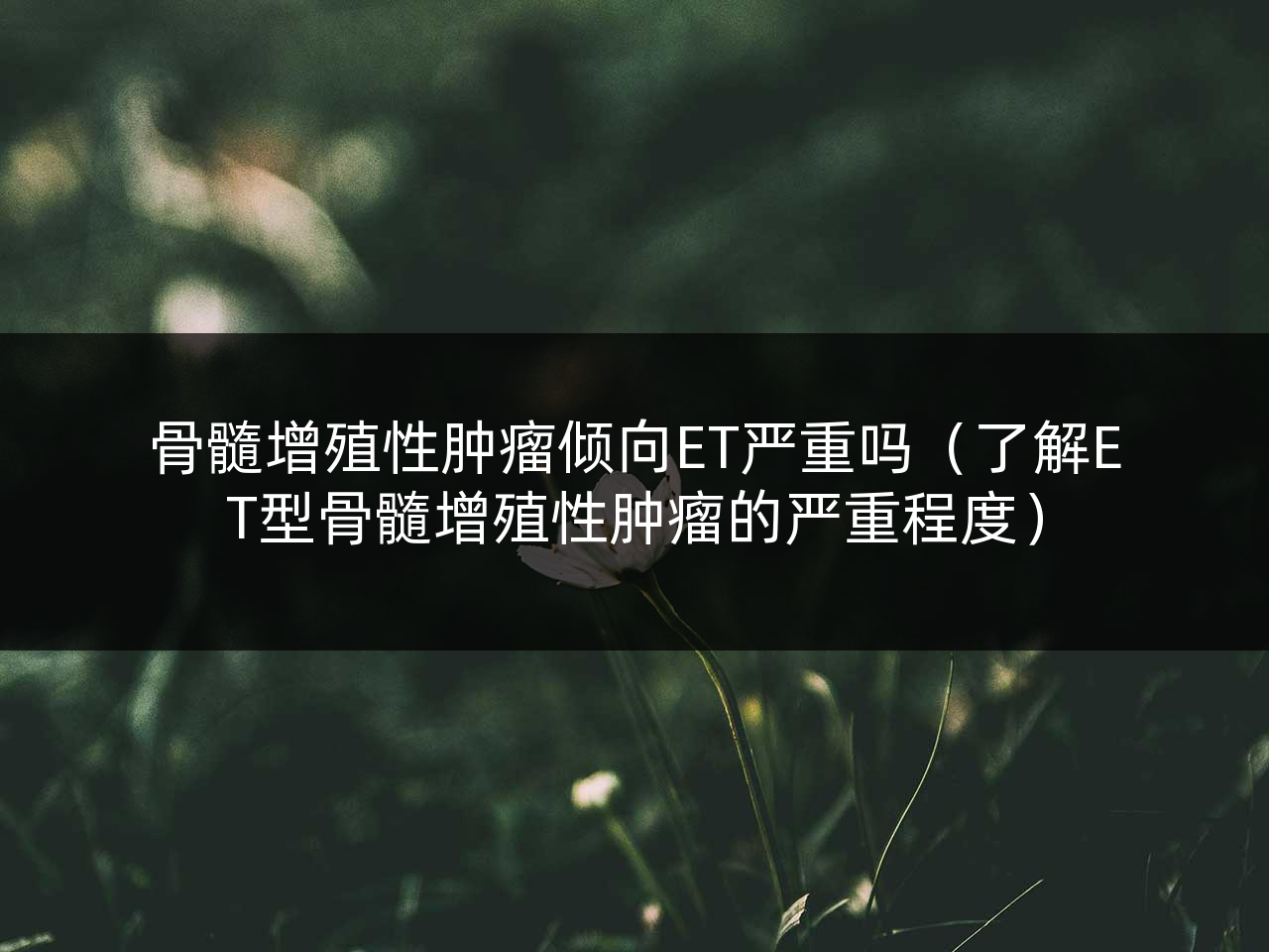 骨髓增殖性肿瘤倾向ET严重吗(了解ET型骨髓增殖性肿瘤的严重程度)