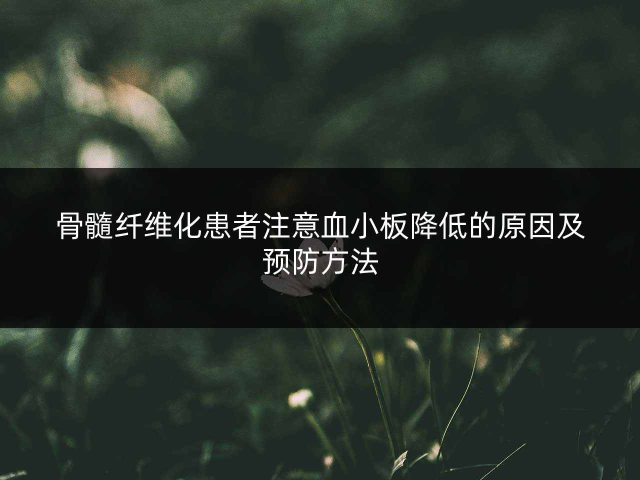 骨髓纤维化患者注意血小板降低的原因及预防方法