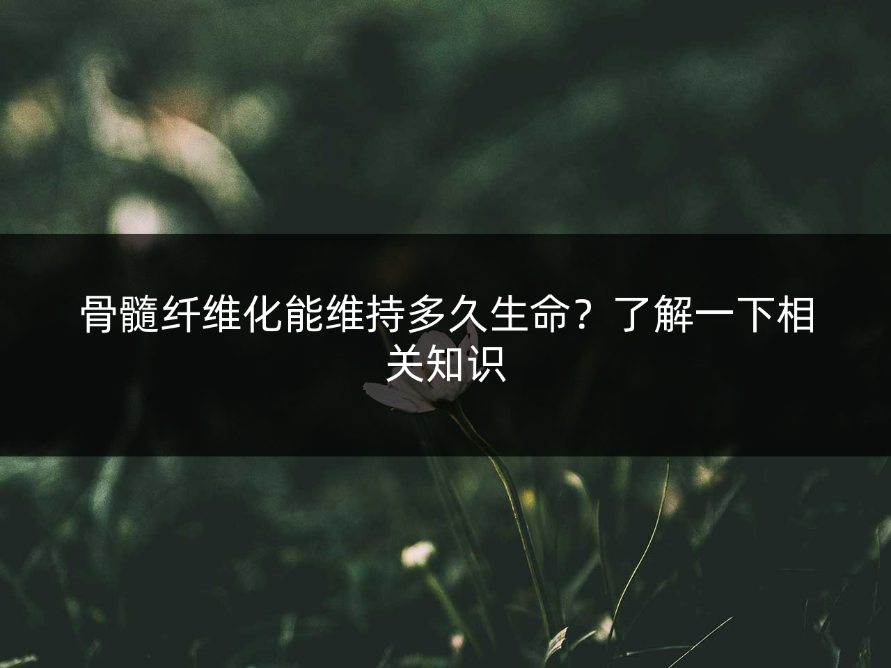 骨髓纤维化能维持多久生命?了解一下相关知识