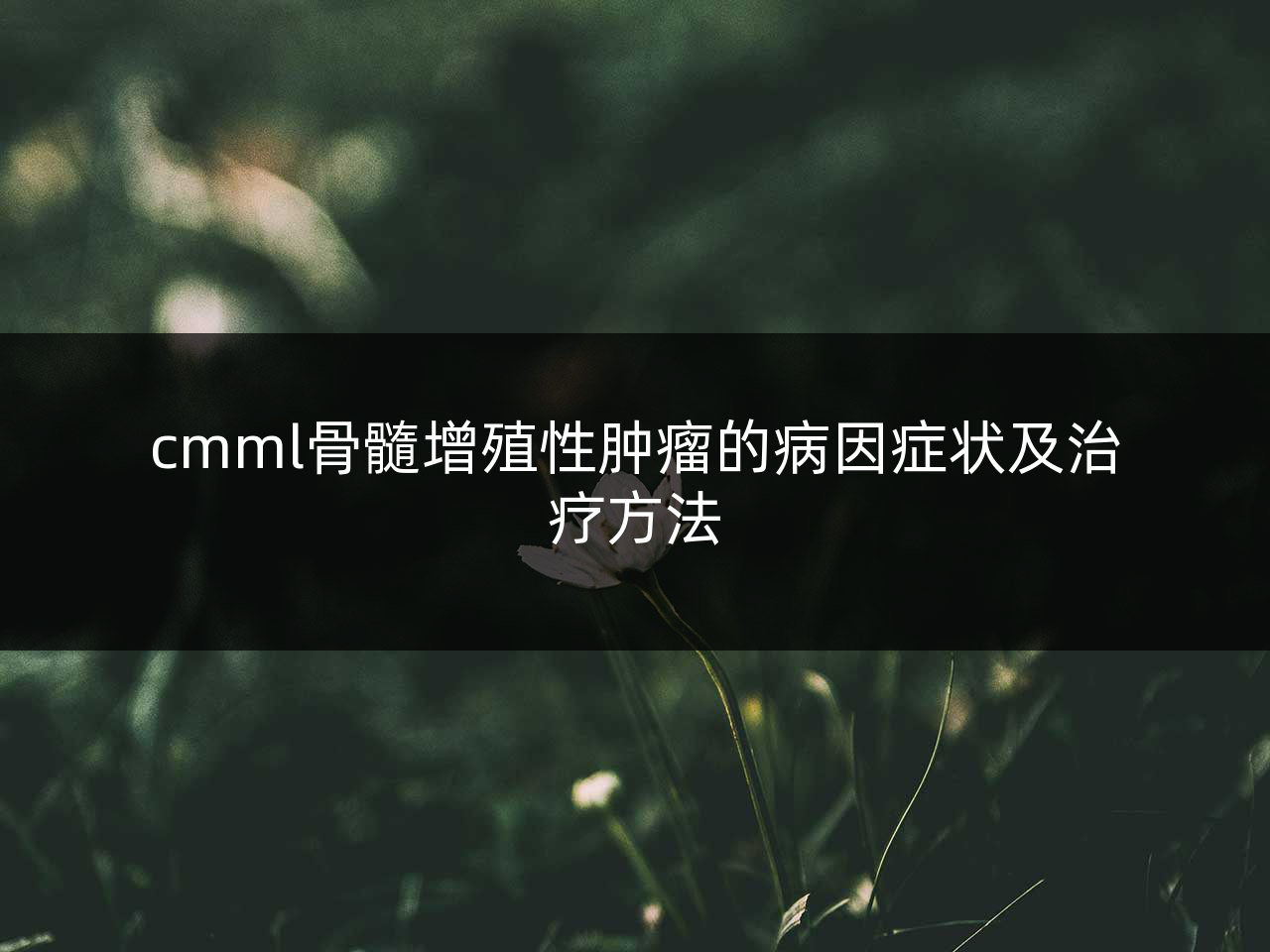 cmml骨髓增殖性肿瘤的病因症状及治疗方法