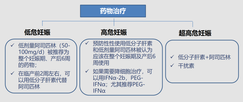 专家讲座 | 吴文教授:原发性血小板增多症的诊断要点和治疗对策(下) 专家讲座 | 吴文教授:原发性血小板增多症的诊断要点和治疗对策(下)