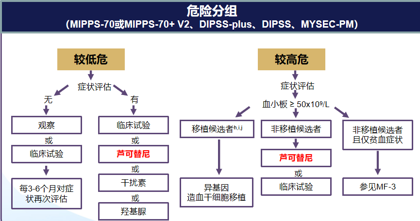 专家讲座 | 徐泽锋教授：原发性骨纤维化（PMF）的规范诊疗