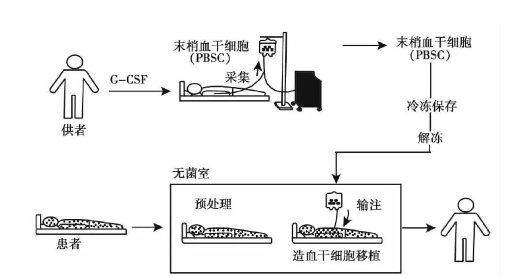 科普宣教 | 再生障碍性贫血 科普宣教 | 再生障碍性贫血