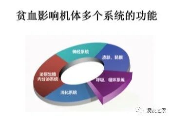 专家讲座 | 刘红教授:骨髓增生异常综合征(MDS)贫血的机制和治疗 专家讲座 | 刘红教授:骨髓增生异常综合征(MDS)贫血的机制和治疗