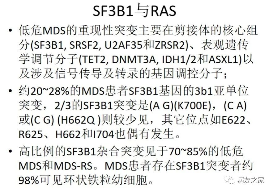 专家讲座 | 刘红教授:骨髓增生异常综合征(MDS)贫血的机制和治疗 专家讲座 | 刘红教授:骨髓增生异常综合征(MDS)贫血的机制和治疗