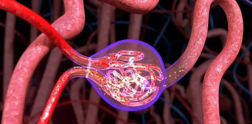 一文了解多发性骨髓瘤 一文了解多发性骨髓瘤