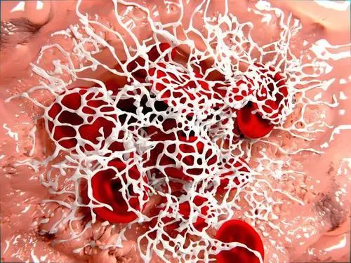 凝血因子的临床意义你了解吗？