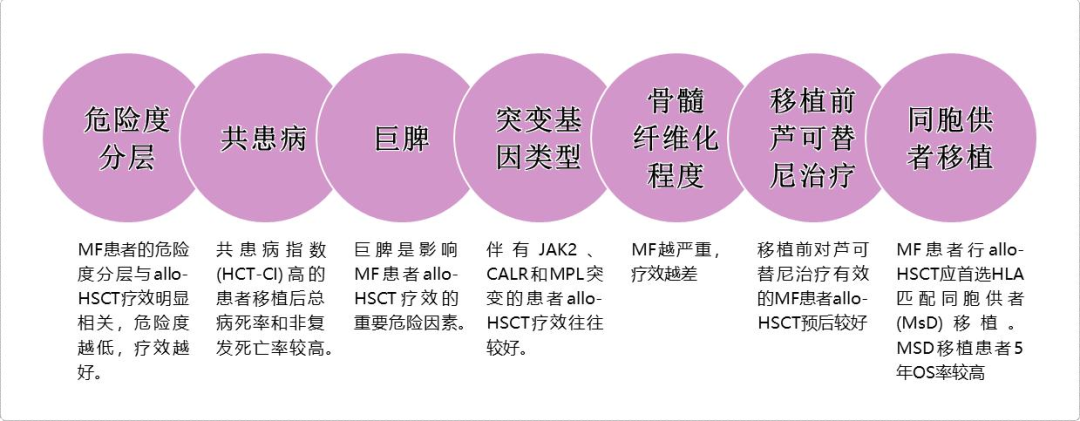 专家讲座丨陈春燕教授:骨髓纤维化(MF)的诊断和治疗 专家讲座丨陈春燕教授:骨髓纤维化(MF)的诊断和治疗