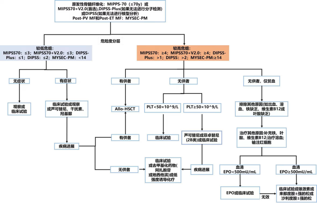 专家讲座丨陈春燕教授:骨髓纤维化(MF)的诊断和治疗 专家讲座丨陈春燕教授:骨髓纤维化(MF)的诊断和治疗