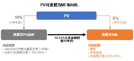 专家讲座 | 杨秀娣教授：Post-PV-MF的病例分享