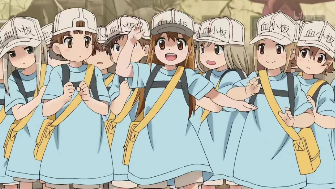 Q&amp;A | 你见过血小板单采吗？