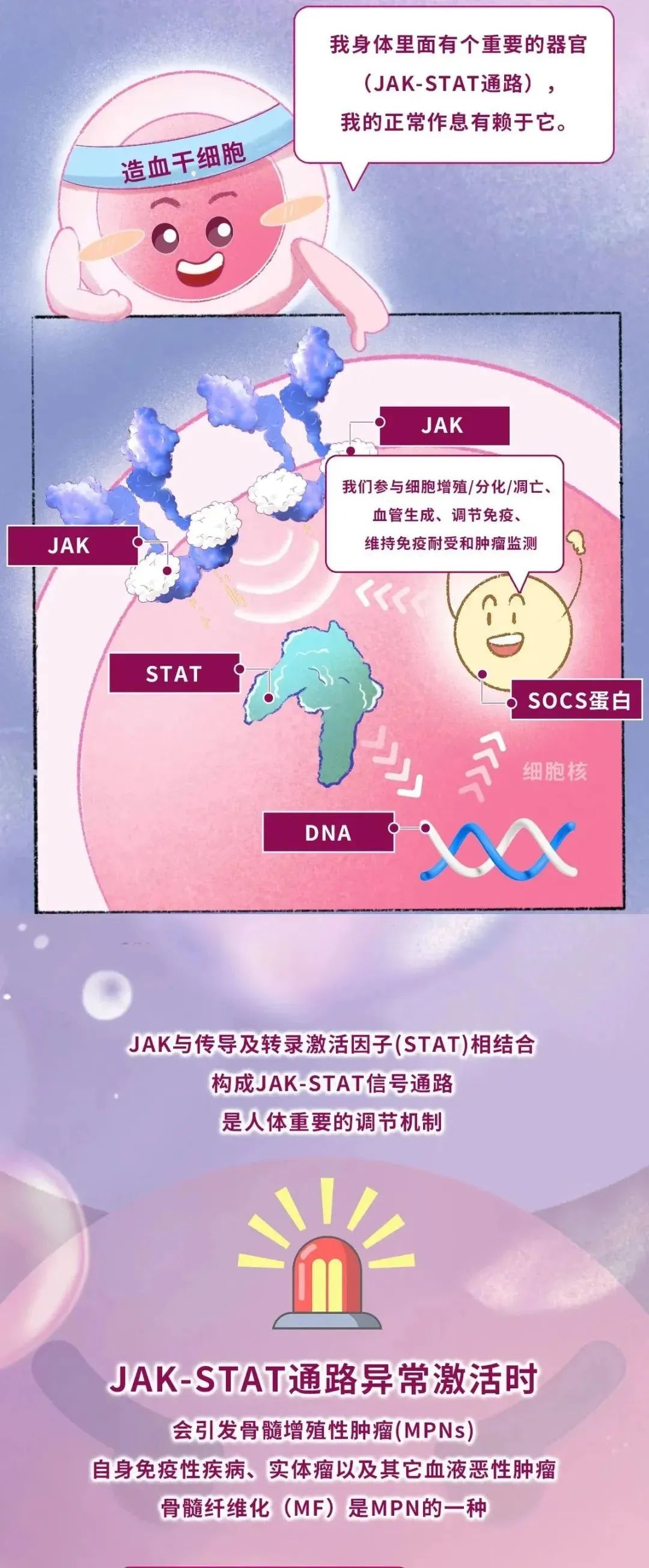 漫话科普 | 你了解骨髓纤维化吗？