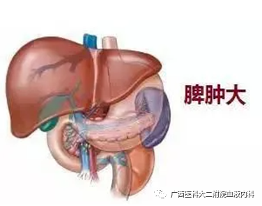 可怕源于未知——让我们一起来了解慢性髓系白血病吧! 可怕源于未知——让我们一起来了解慢性髓系白血病吧!