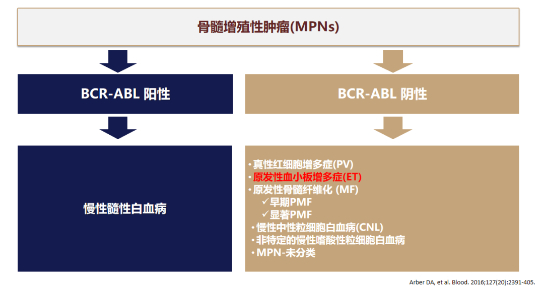 专家讲座 | 张磊教授带您了解原发性血小板增多症的诊断与治疗（上）