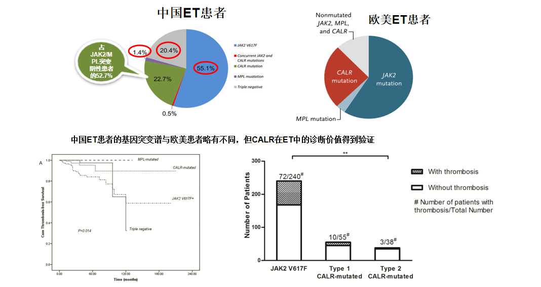 专家讲座 | 张磊教授带您了解原发性血小板增多症的诊断与治疗（上）