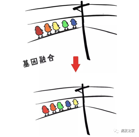 Q&A | 融合基因检测有哪些作用呢? Q&A | 融合基因检测有哪些作用呢?