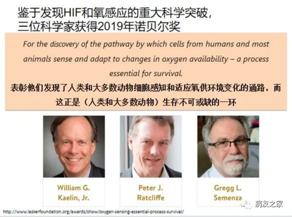 专家讲座 | 刘红教授:骨髓增生异常综合征(MDS)贫血的机制和治疗 专家讲座 | 刘红教授:骨髓增生异常综合征(MDS)贫血的机制和治疗