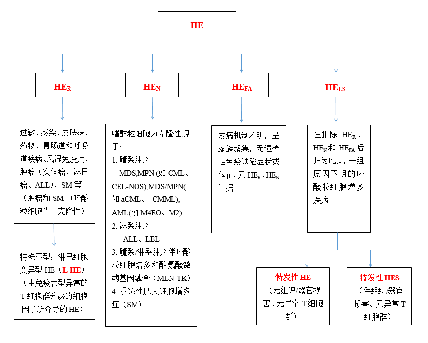 嗜酸粒细胞增多症的诊断与鉴别 嗜酸粒细胞增多症的诊断与鉴别