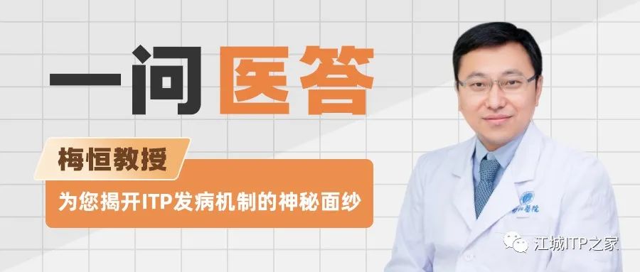 一问医答 | 梅恒教授为您揭开ITP发病机制的神秘面纱