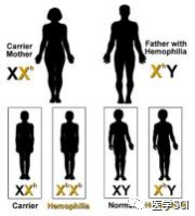 传说中的血友病 传说中的血友病