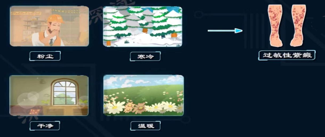 【健康科普】过敏性紫癜怎么办？