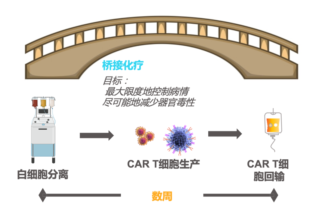 一文了解“百万CART治疗”全过程! 一文了解“百万CART治疗”全过程!