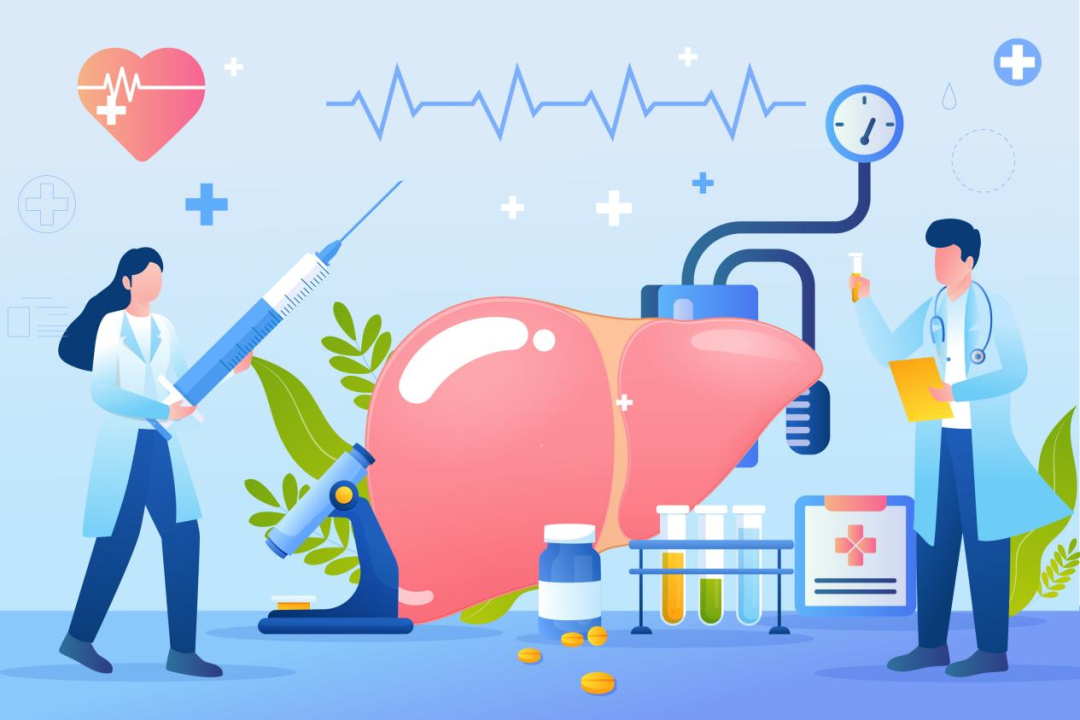 科普时间丨ITP患者用药易导致肝损伤，如何护肝？