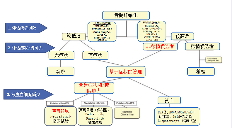 专家讲座｜赵苗苗博士：一例原发性血小板增多症后骨髓纤维化（Post-ET-MF）的病例分享