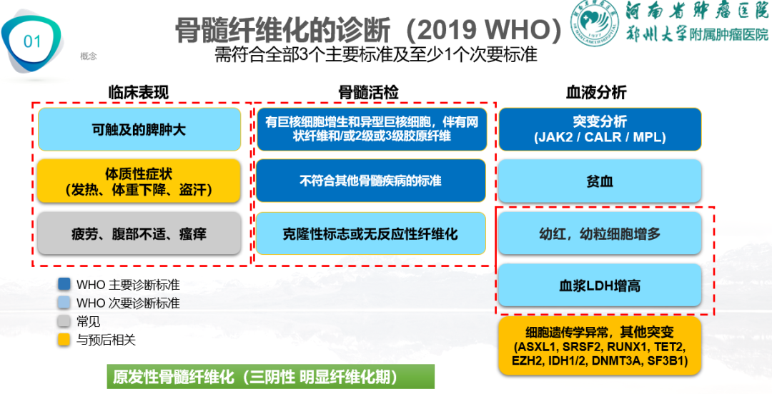 专家讲座 | 周虎教授:芦可替尼联合治疗加速期骨髓纤维化经验分享 专家讲座 | 周虎教授:芦可替尼联合治疗加速期骨髓纤维化经验分享