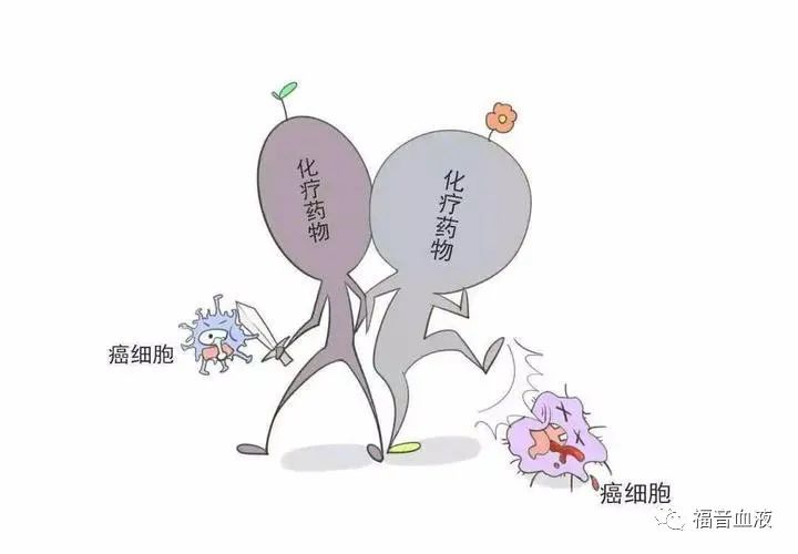 以“毒”为药?——关于急性早幼粒细胞白血病 以“毒”为药?——关于急性早幼粒细胞白血病