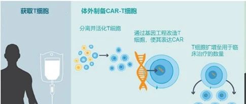 慢性淋巴细胞白血病(CLL)治疗新进展,为白血病患者带来新希望