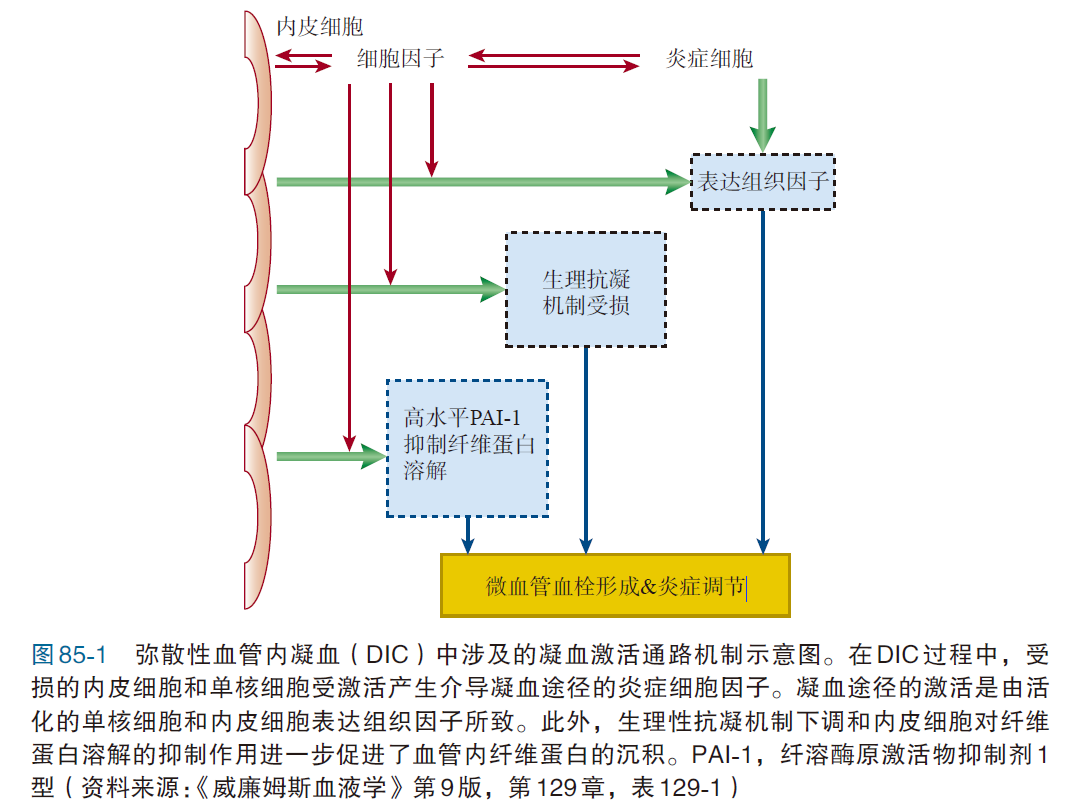 一文读懂 | 弥散性血管内凝血