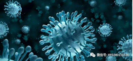 过敏性紫癜如何诊断和治疗? 过敏性紫癜如何诊断和治疗?