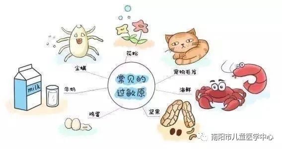 “狡猾”的皮疹——过敏性紫癜 “狡猾”的皮疹——过敏性紫癜