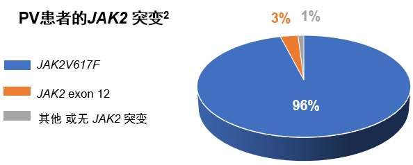 专家讲座 | 黄健教授：真性红细胞增多症诊治进展