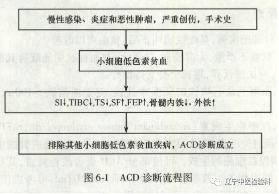 一种常见而易被忽视的贫血---慢性病贫血 一种常见而易被忽视的贫血---慢性病贫血