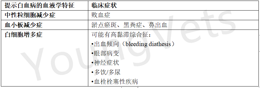【临床病理学】——白细胞之淋巴细胞 【临床病理学】——白细胞之淋巴细胞